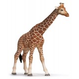 Schleich - Giraffe Female - 14320 Schleich - Giraffe Female - 14320